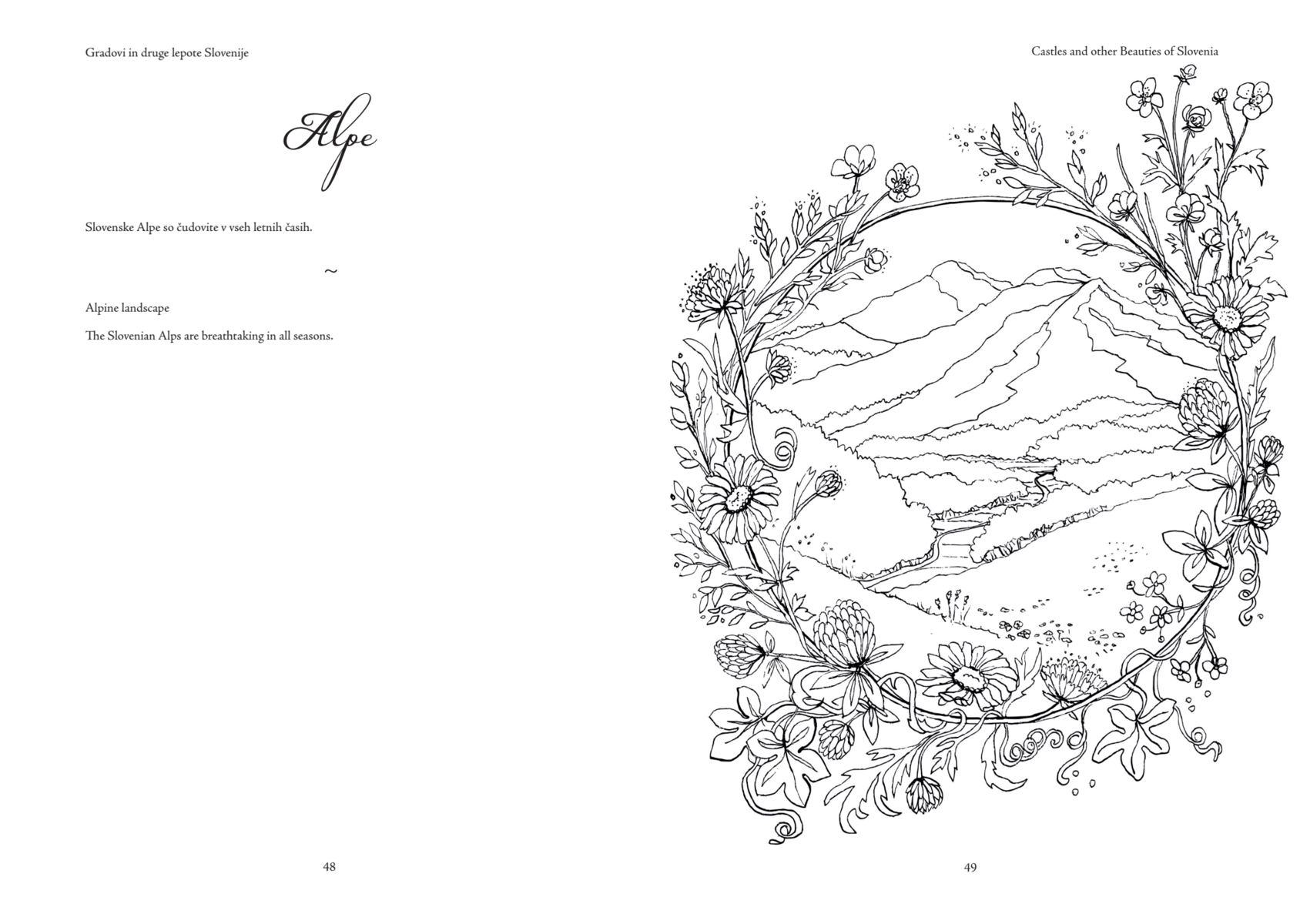 Alpine illustration